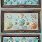 SALTY COLLECTION - 13x23
