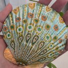 5" Scallop Shell 72