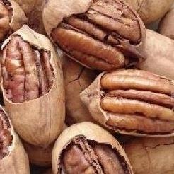 Natural Pecan;high nutrition;fresh;delicious food