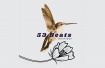 53Beats