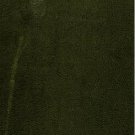 Preface to Count A. K. Tolstoy's Ghost. 1899