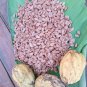 cocoa Mexico Oaxaca Authentic 100% Organic BIO ECO 1kg