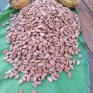 cocoa Mexico Oaxaca Authentic 100% Organic BIO ECO 1kg