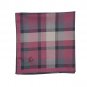 Allen Solly Men's Cotton Dark Handkerchief with Brand Logo (Pack of 3) Maroon, Khaki & Blue