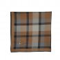 Allen Solly Men's Cotton Dark Handkerchief with Brand Logo (Pack of 3) Maroon, Khaki & Blue