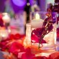 Acrylic Flameless & Smokeless Decorative Candles Led Tea Light Candle (Water Sensored - 12Pcs)