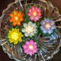 Acrylic Flameless & Smokeless Decorative Candles Led Tea Light (Lotus Water Sensored - 12 Pcs)