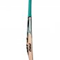 Original CA Sports 2000 pro (White) hard Cricket Bat