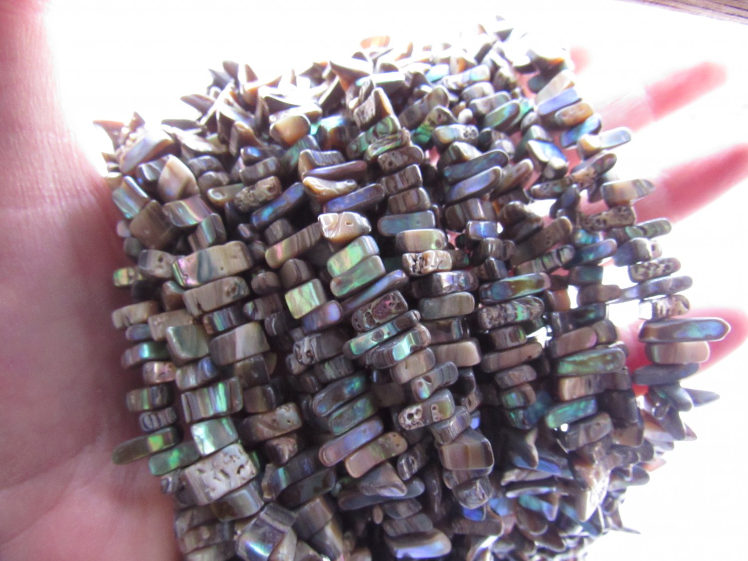 Abalone SHELL BEADS 4-5x7-14x6-10mm Natural Nuggets bead supply