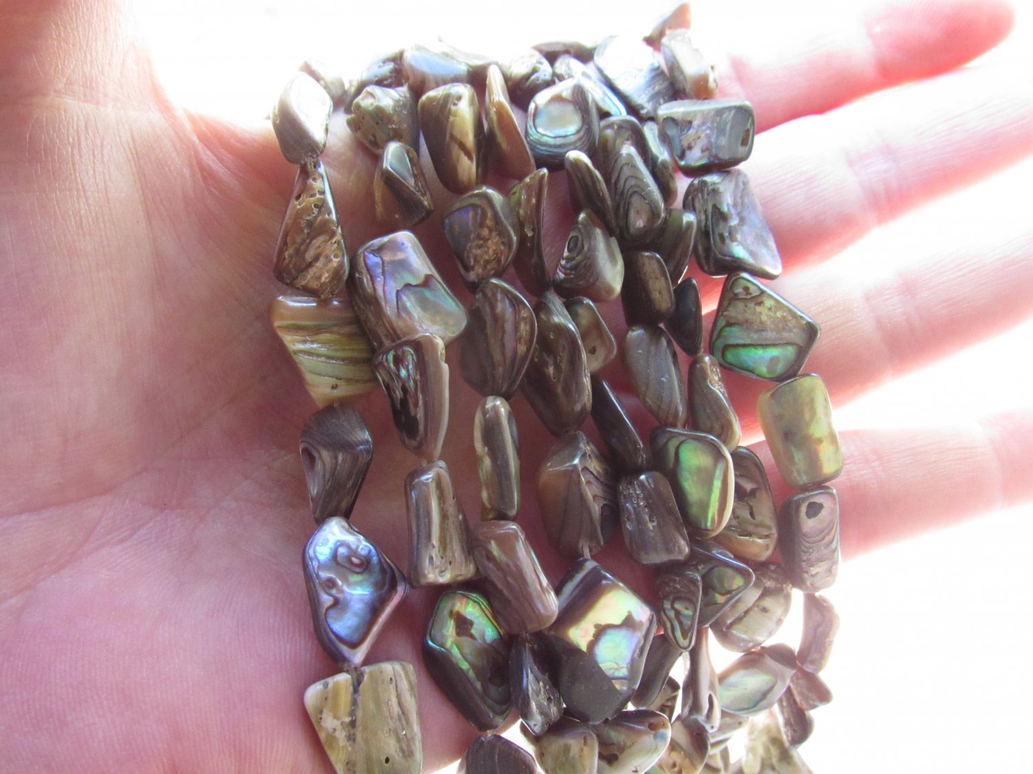 Abalone Paua Shell BEADS freeform 10-16x6-9mm drilled natural bead supply diy making jewelry