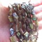 Abalone Paua Shell BEADS freeform 10-16x6-9mm drilled natural bead supply diy making jewelry