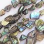 Abalone Paua Shell BEADS freeform 10-16x6-9mm drilled natural bead supply diy making jewelry