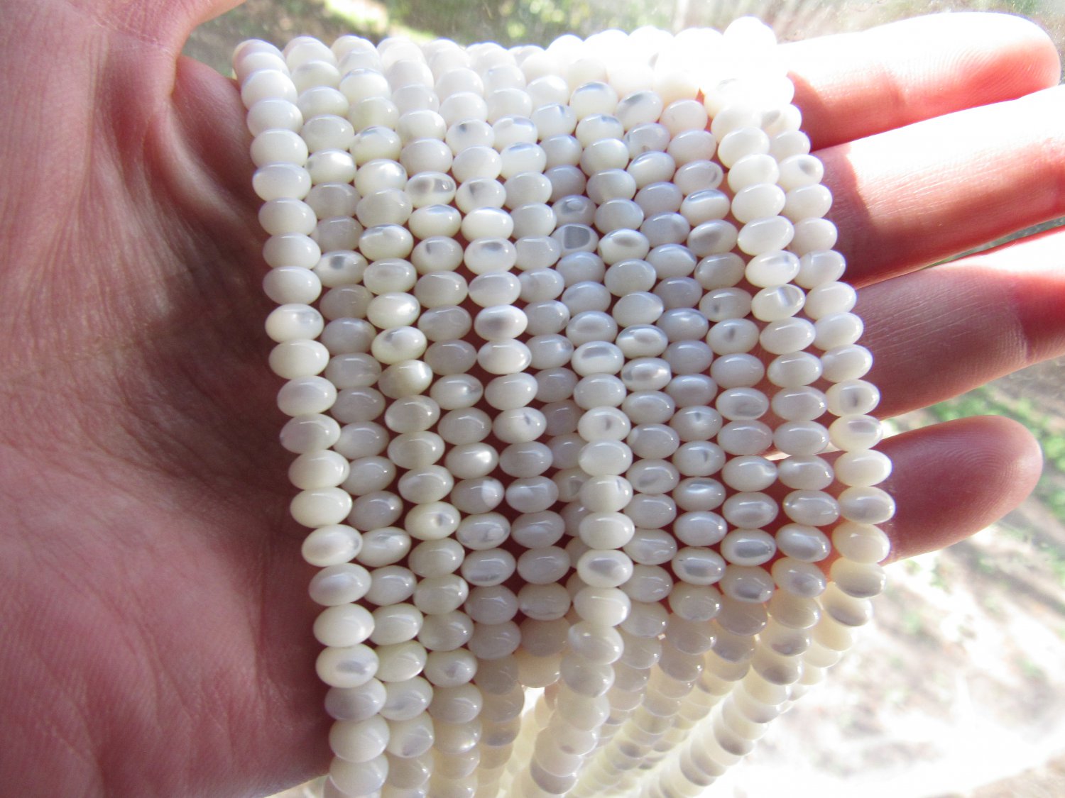 Natural White TROCHUS Shell 6mm BEADS 6x4mm Rondelle White Shell strand diy jewelry