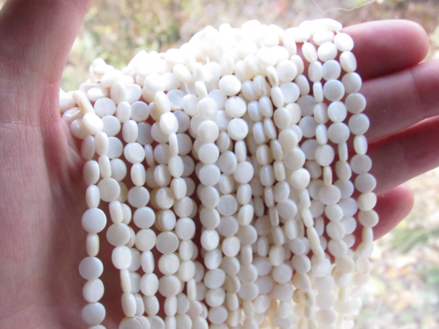 White Shell BEADS 6mm flat round length drilled bead supply for making beach jewelry