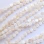 White Shell BEADS 6mm flat round length drilled bead supply for making beach jewelry