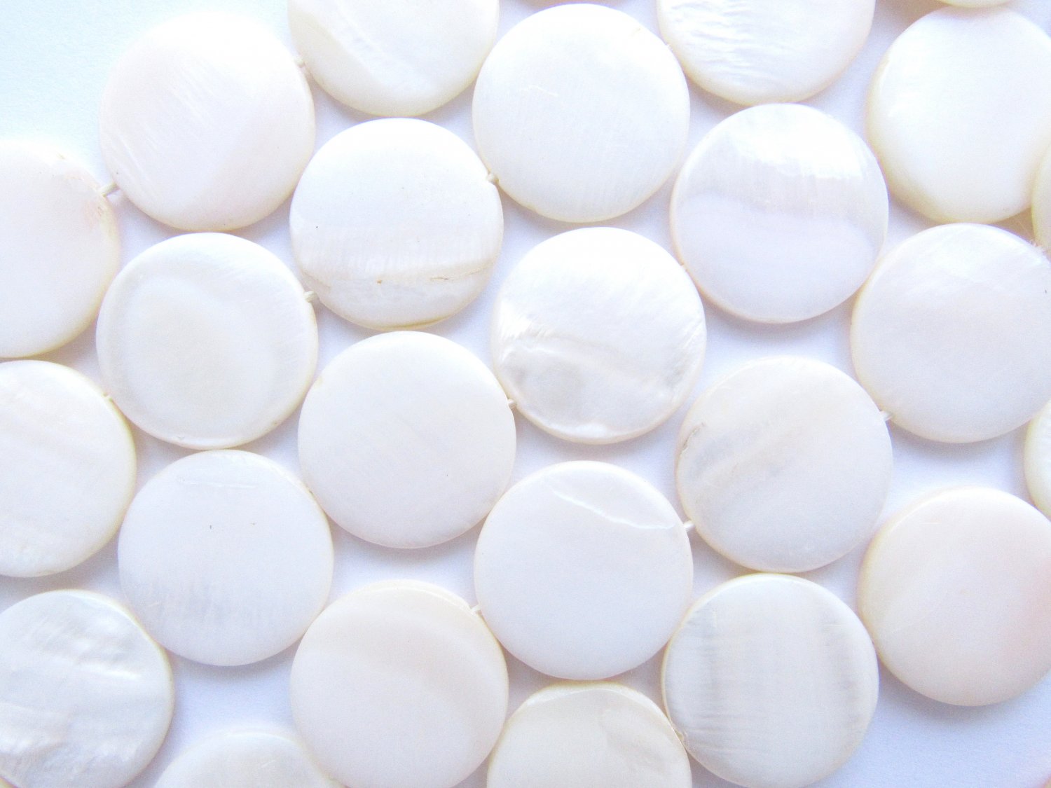 Natural White Shell COIN BEADS 20mm flat round bead supply diy making jewelry