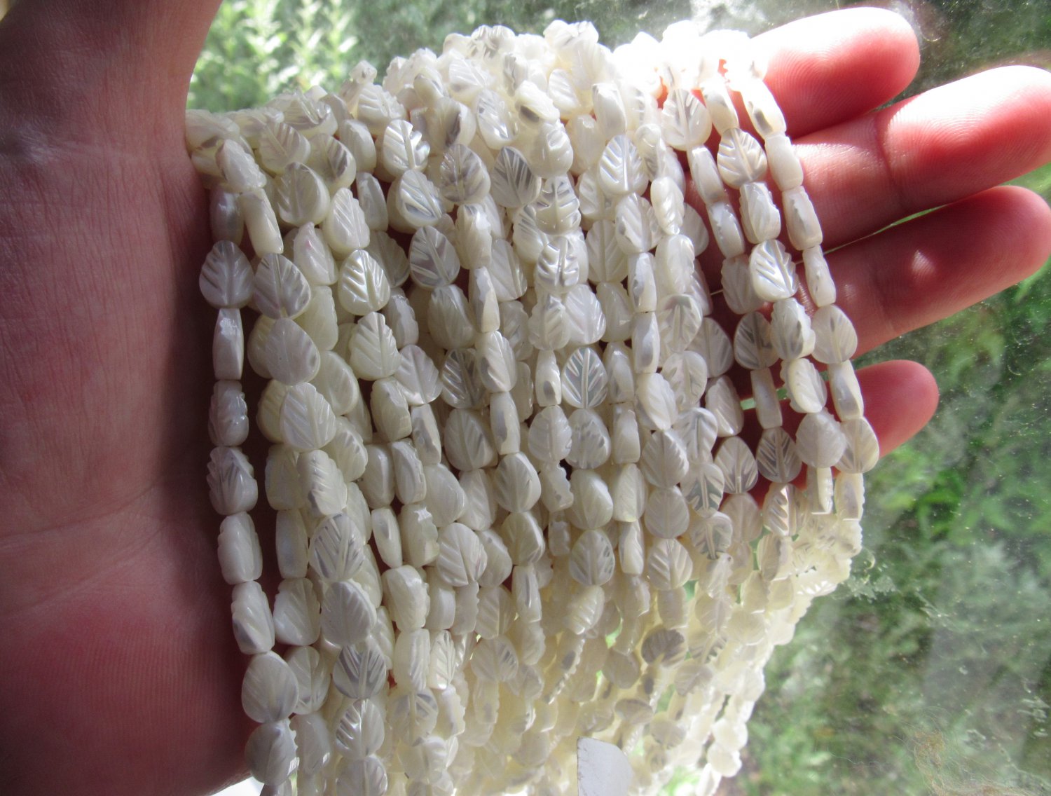 natural White TROCHUS Shell BEADS 8x6mm carved leaf feather strand bead supply