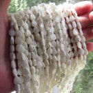natural White TROCHUS Shell BEADS 8x6mm carved leaf feather strand bead supply