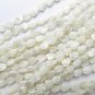 natural White TROCHUS Shell BEADS 8x6mm carved leaf feather strand bead supply