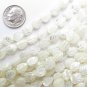 natural White TROCHUS Shell BEADS 8x6mm carved leaf feather strand bead supply