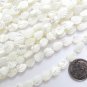 natural White TROCHUS Shell BEADS 8x6mm carved leaf feather strand bead supply