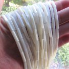 Nice WHITE Shell BEADS Natural TROCHUS 13x4mm tube bead supply Strand Drilled Cylinder