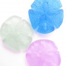 Glass Sand Dollar PENDANTS 40x36mm assorted 3 pc frosted pendant making jewelry