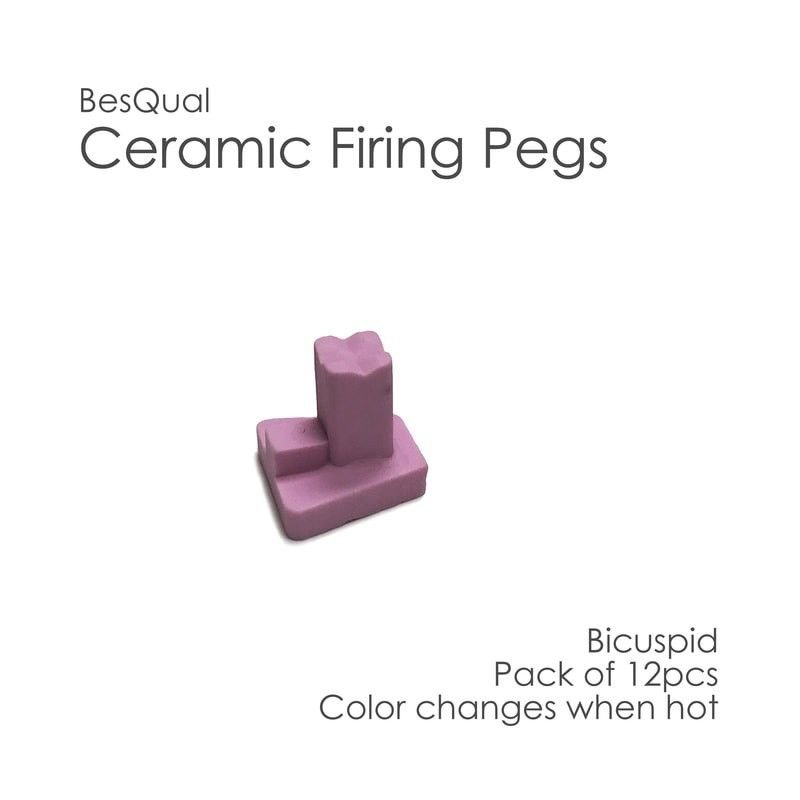 Ceramic Firing Porcelain Pegs - Bicuspids 12pcs