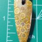 fossil coral pendant