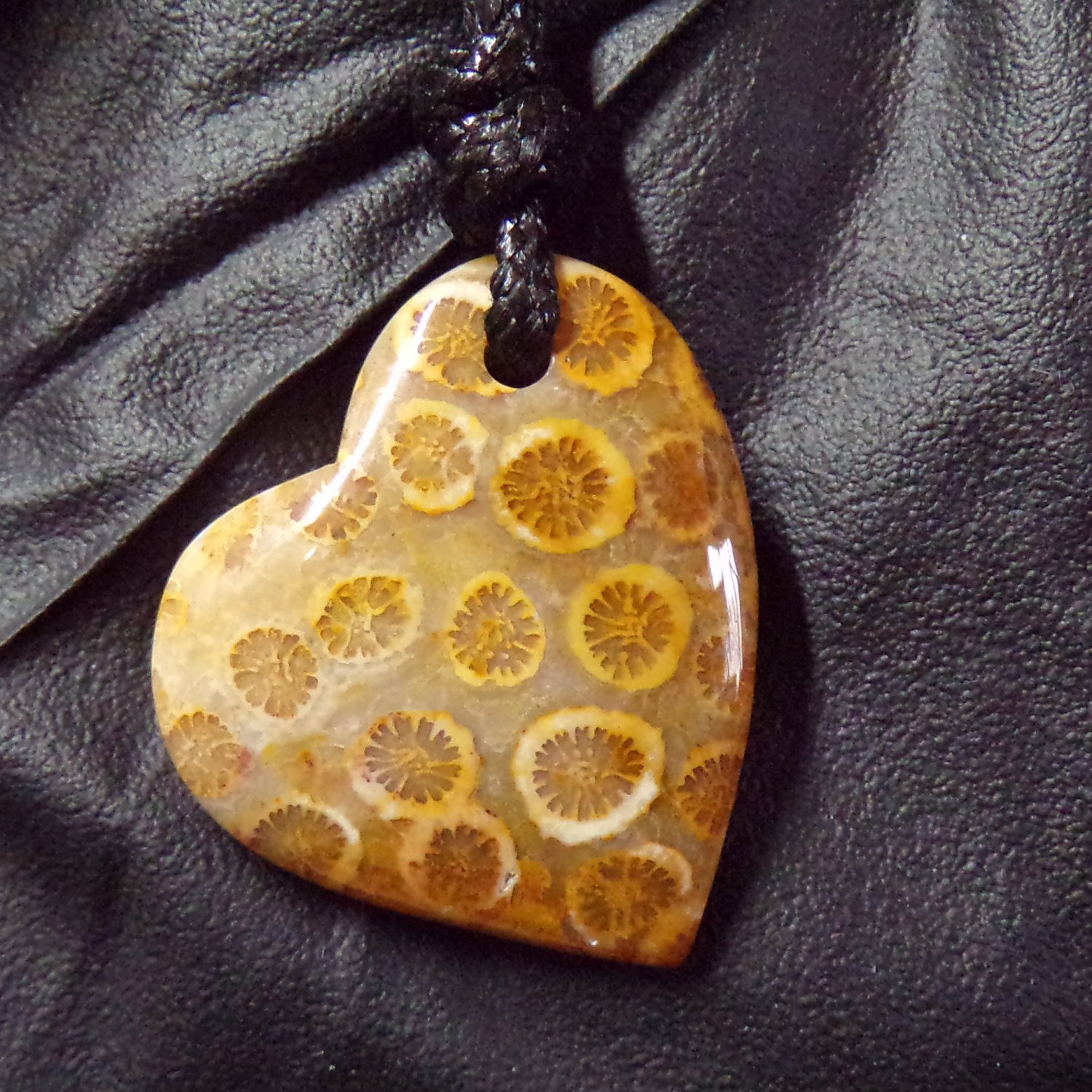 fossil coral pendant