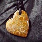 fossil coral pendant