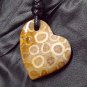 fossil coral pendant