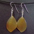 brazilian agate earrings