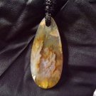 graveyard plume agate pendant graveyard plume agate pendant