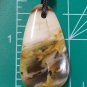 petrified wood pendant