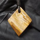 petrified wood pendant