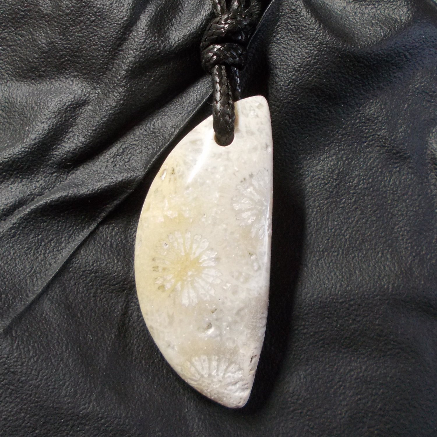 fossil coral pendant