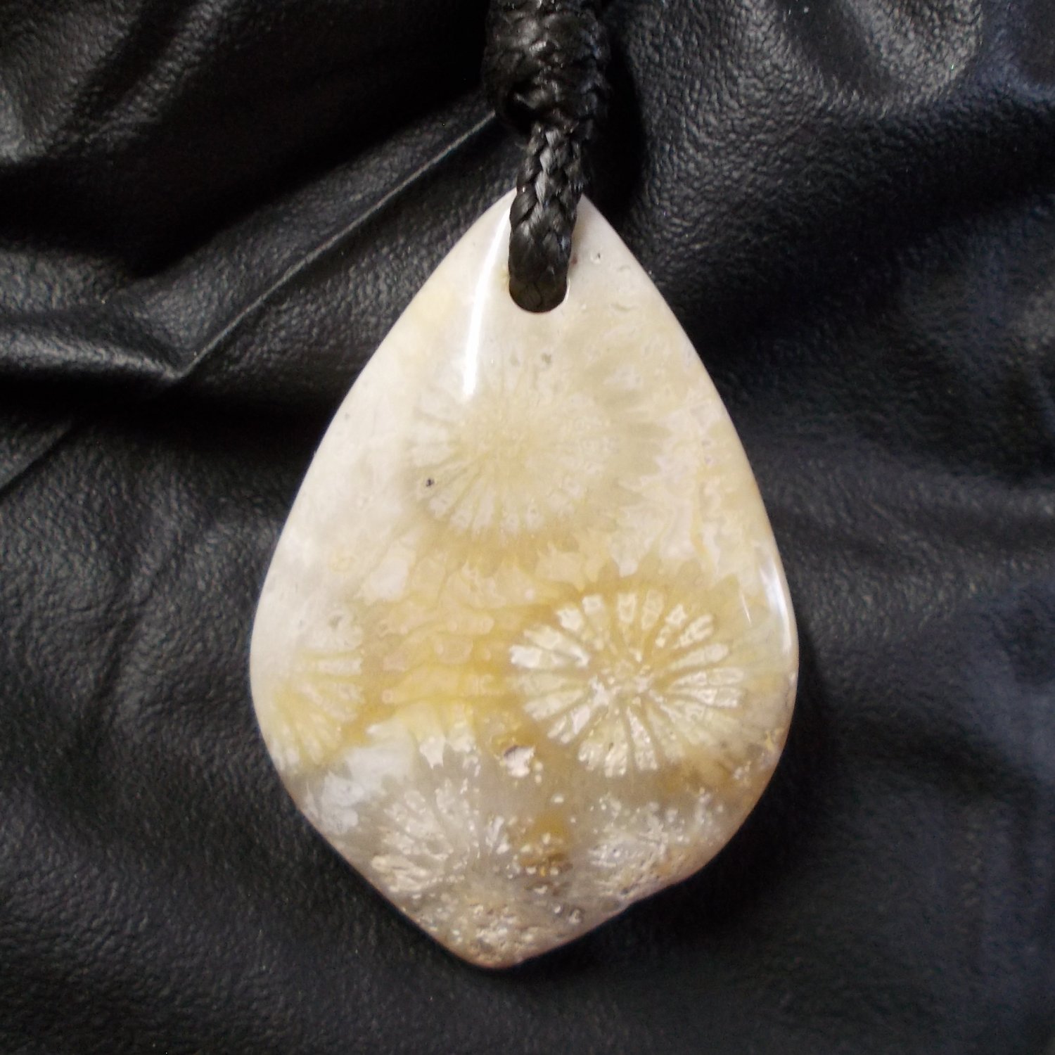 fossil coral pendant