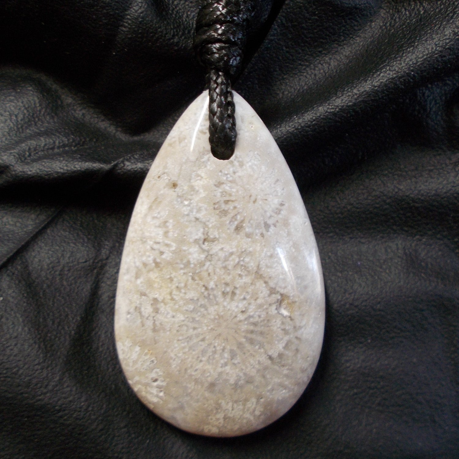 fossil coral pendant