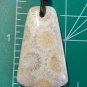 fossil coral pendant