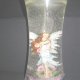Special Scenery Candles