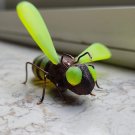 Firefly Fridge Magnet Handmade