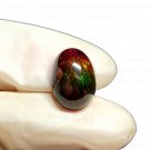 1 Pcs. Of Natural Australian Black Opal Oval Cabochon 13x10mmloose gemstone. | OW_02957