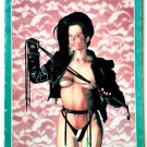 LEATHER AND LACE Malibu Graphics TPB 1990 collects no. 1-4 of the adult comic by BARRY BLAIR LEATHER AND LACE Malibu Graphics TPB 1990 collects no. 1-4 of the adult comic by BARRY BLAIR