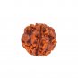 1 mukhi Nepal Rudraksha One Faced Nepal Origin Rudraksha Round Bead