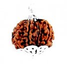 100% Natural Nepal 9 Mukhi Nine Face Rudraksha Silver Pendant