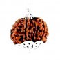 100% Natural Nepal 9 Mukhi Nine Face Rudraksha Silver Pendant