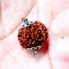 Natural 9 Mukhi Nine Face Rudraksha 925 Silver Cap Rudraksha Pendant Natural 9 Mukhi Nine Face Rudraksha 925 Silver Cap Rudraksha Pendant