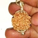1 mukhi Nepal Origin Rudraksha Silver cap Pendant One Face Round Shape Rudraksha