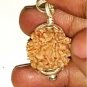 1 mukhi Nepal Origin Rudraksha Silver cap Pendant One Face Round Shape Rudraksha